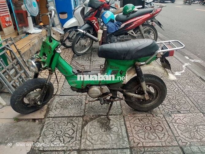 Chaly 50  (kgt)