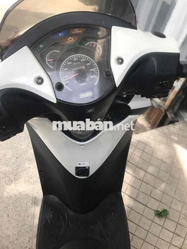 sh 150 ý biển tp hcm