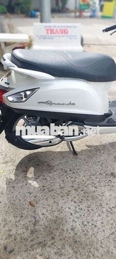 Xe yamaha grende bs 65