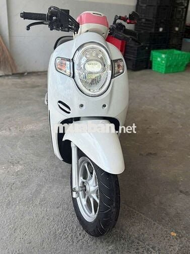 Xe honda scoppy bs 83
