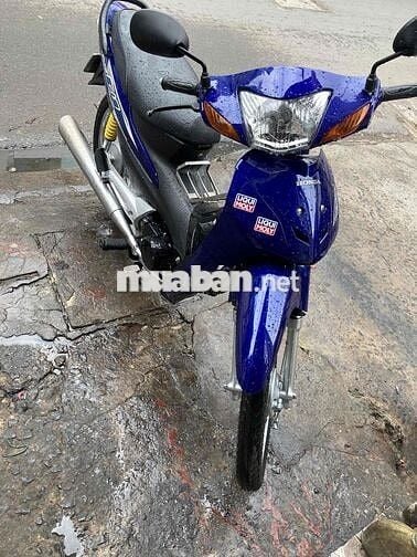 50cc bstp bao tranh chap giấy tờ hợp lệ