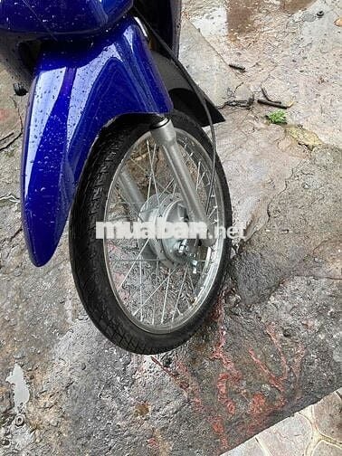 50cc bstp bao tranh chap giấy tờ hợp lệ