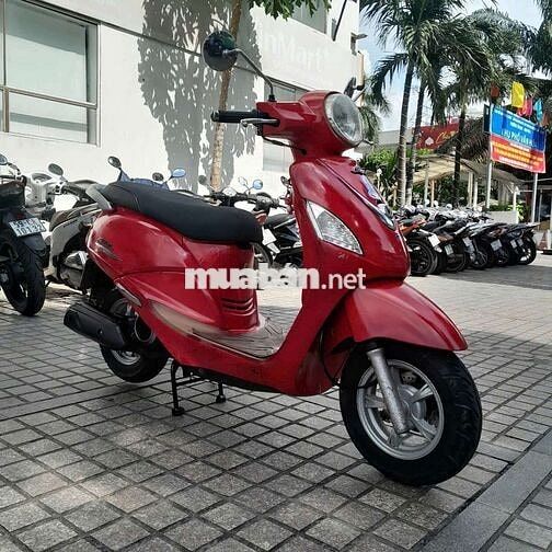 Xe alizabet fi giấy tờ đầy đủ