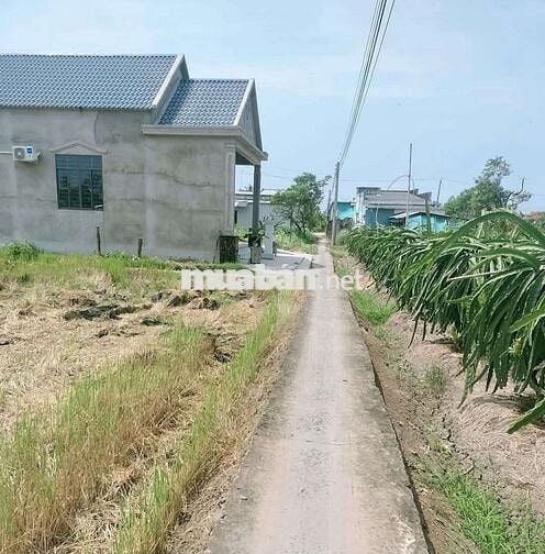 Bán đất nền thổ cư Kiểng phước giá rẻ