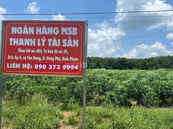 THÔNG BÁO ĐẤU GIÁ TÀI SẢN THEO THỦ TỤC RÚT GỌN