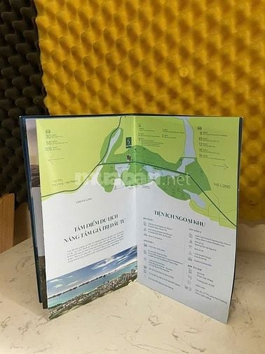 Chuyển nhượng quỹ căn đẹp nhất tòa S1; S2 Dự Án SKY M Hạ Long 