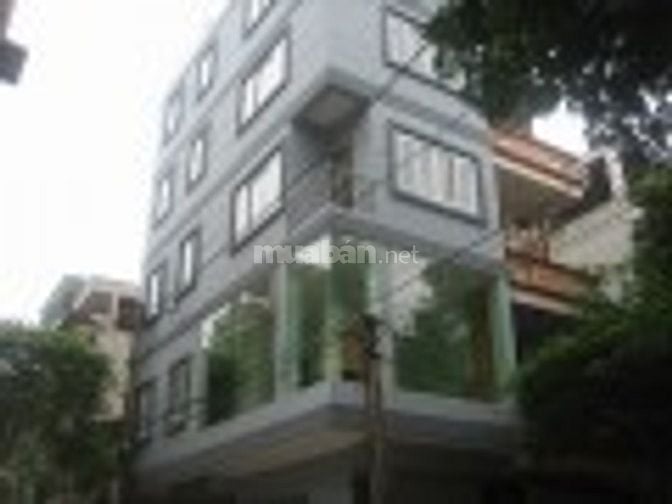 Chính Chủ Cho Thuê Nhà Làm Văn Phòng 