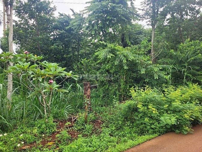 CTY ĐẤU GIÁ HỢP DANH TRỰC TUYẾN VIỆT NAM (VNOA) TỔ CHỨC ĐẤU GIÁ