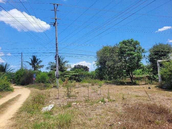 CTY ĐẤU GIÁ HỢP DANH TRỰC TUYẾN VIỆT NAM (VNOA) TỔ CHỨC ĐẤU GIÁ