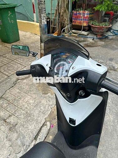 xe sh ý 2010 - 125i