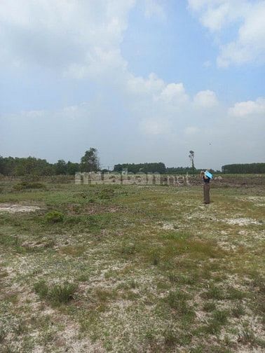 CTY ĐẤU GIÁ HỢP DANH TRỰC TUYẾN VIỆT NAM (VNOA) TỔ CHỨC ĐẤU GIÁ 