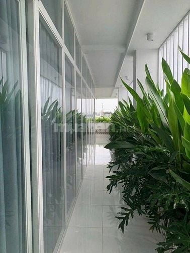 Cực phẩm CHDV Thống Nhất Gò Vấp – 8x27m – 6 tầng – 35 phòng – 210tr/th