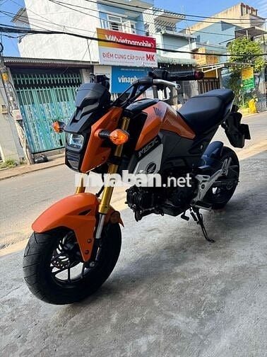 Honda MSX 125 _ 2019 chính chủ