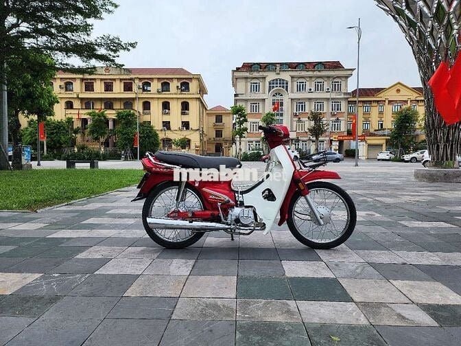 Bán Dream Thái Đẹp Biển Vip