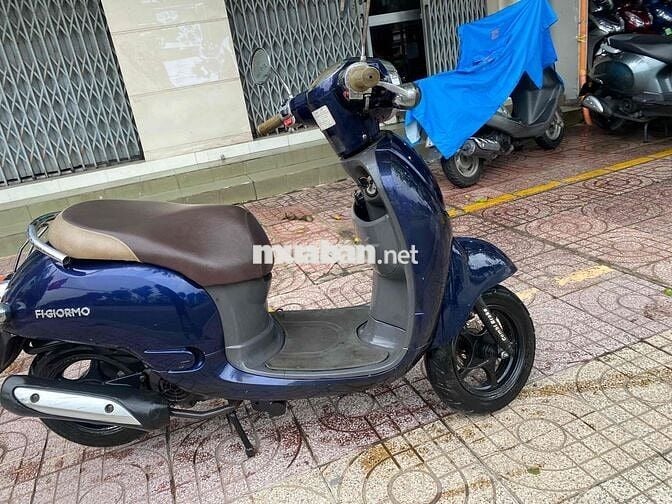 FiGIORMO 50cc cho các bé học sinh người lớn tuổi