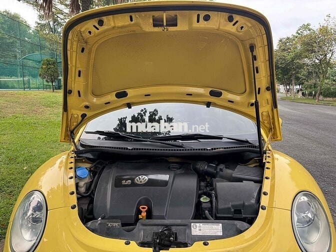 Volkswagen Beetle 2009 - 88000 km