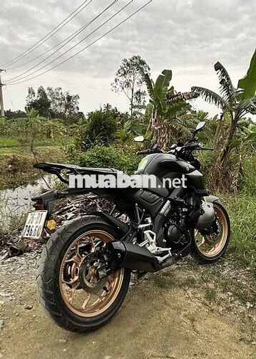 MT15 2022