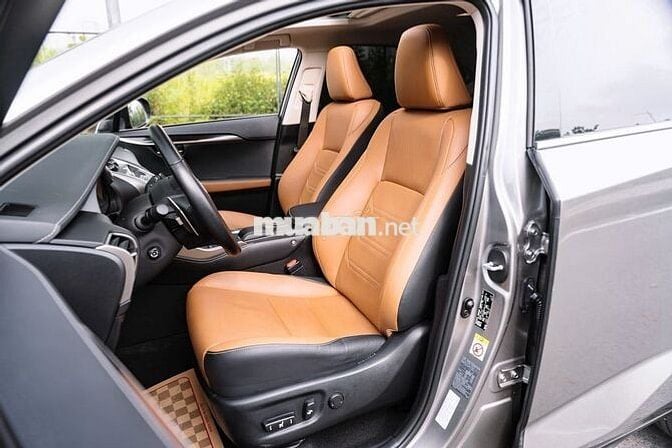 Lexus NX 300 2018  - 60000 km