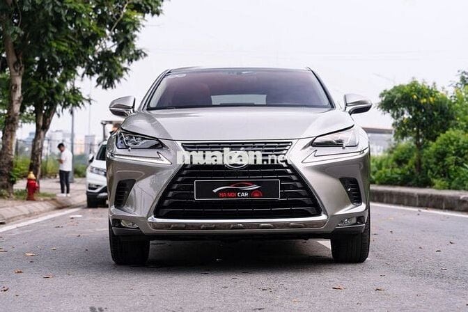 Lexus NX 300 2018  - 60000 km