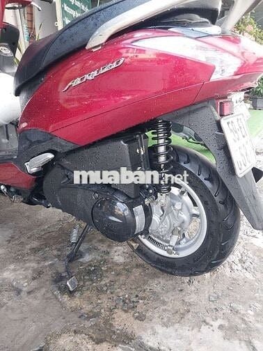 Acruzo fi bstp chứng giấy