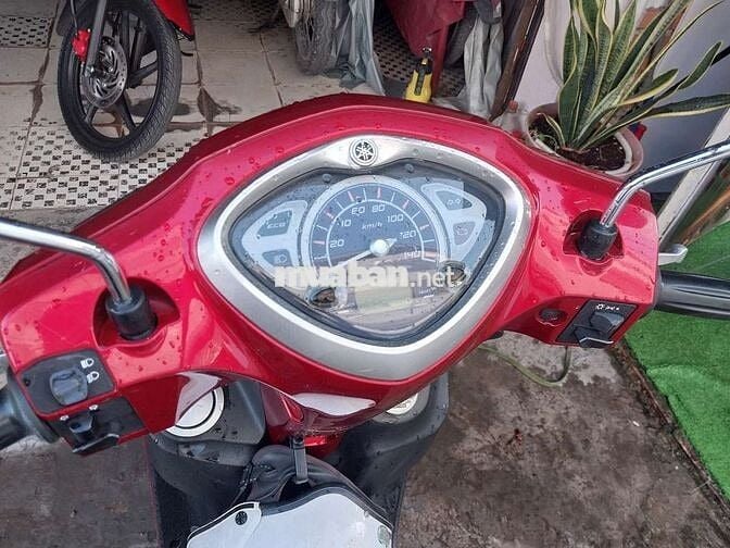 Acruzo fi bstp chứng giấy