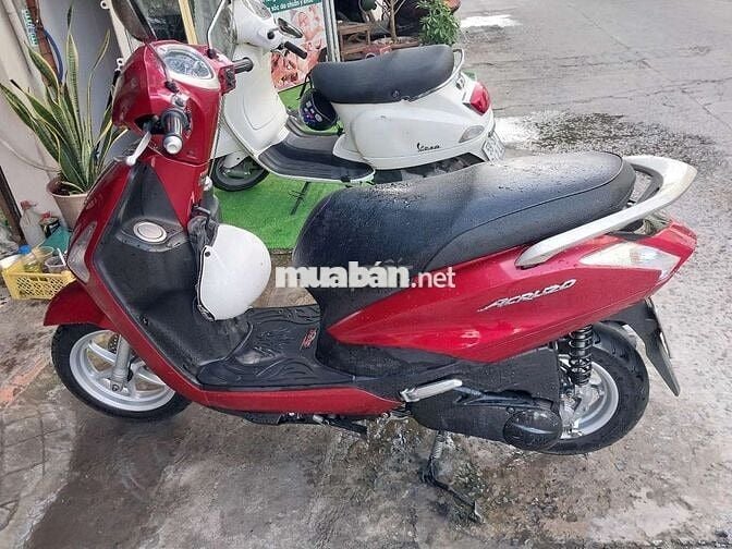 Acruzo fi bstp chứng giấy