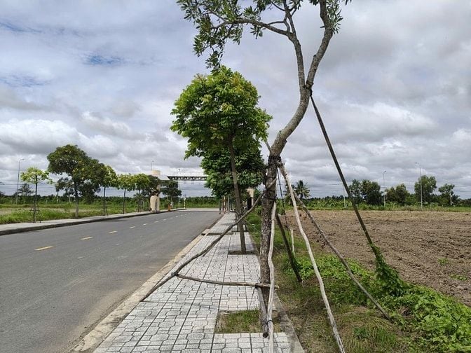 Bán đất 23.000m2 tại cụm công nghiệp Tú Phương , Tân An , tỉnh Long An