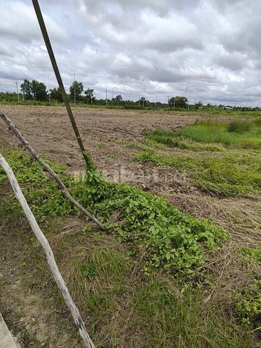 Bán đất 23.000m2 tại cụm công nghiệp Tú Phương , Tân An , tỉnh Long An