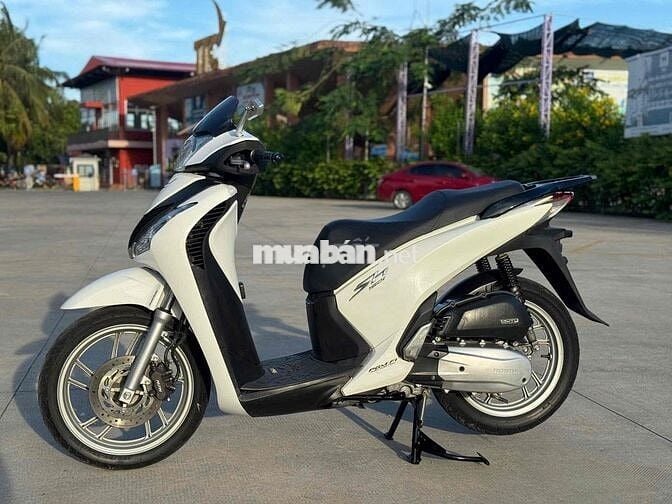 SH 2014 up Ý