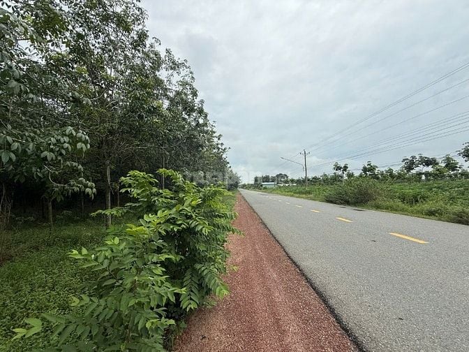 Cần bán đât mặt tiền DT749b Minh Hòa, Dầu TIếng, Bình Dương, 2ha2