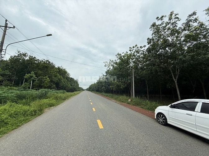 Cần bán đât mặt tiền DT749b Minh Hòa, Dầu TIếng, Bình Dương, 2ha2