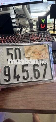 vison bản đặc biệt 2025