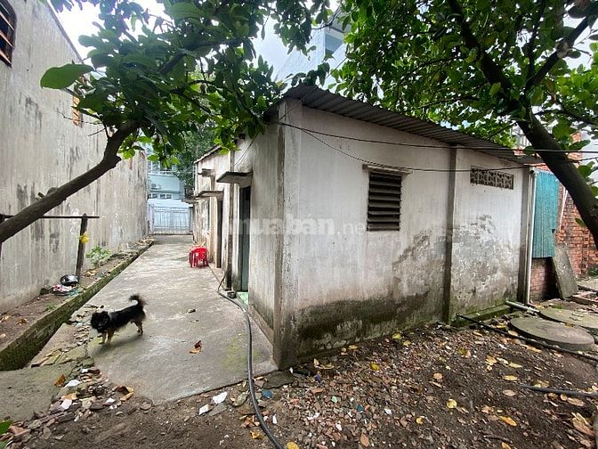 Bán Đất Hóc Môn 327m2 xây biệt thự