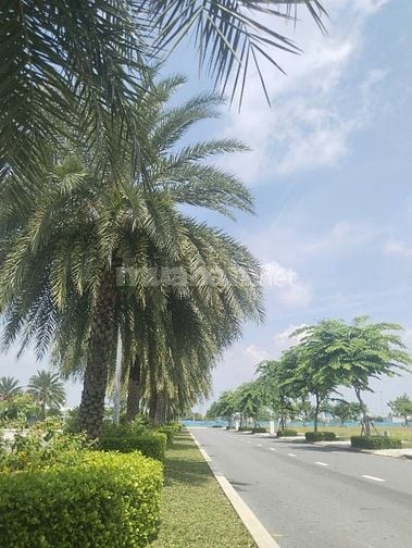 Đất KDC giá F0 chỉ từ 700 triệu | Sát Bình Chánh | Đất nằm vị trí đẹp 