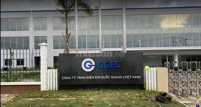 Công ty cần tuyển công nhân đi làm ngay lương ổn định
