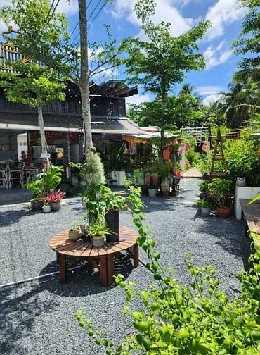 Bán nhà đất mặt tiền quốc lộ 60