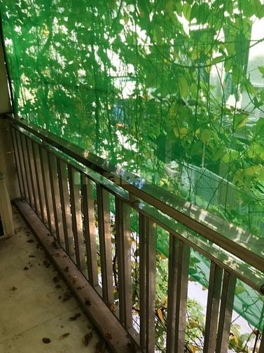 Cho thuê phòng trọ để ở, ưu tiên sinh viên