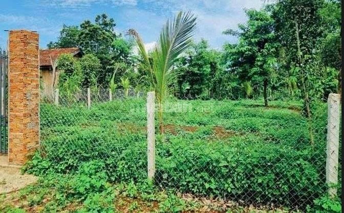 Chính chủ bán vườn 2500m2 có nhà cấp 4 ngay UBND Tân Hiệp - Phú Giáo 