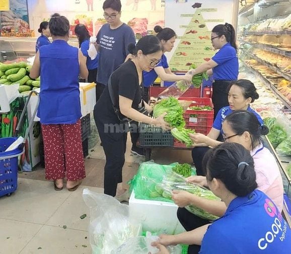 Bổ Sung Lao Động Phổ Thông, Bán Hàng, Bảo Vệ Đi Làm Ngay 