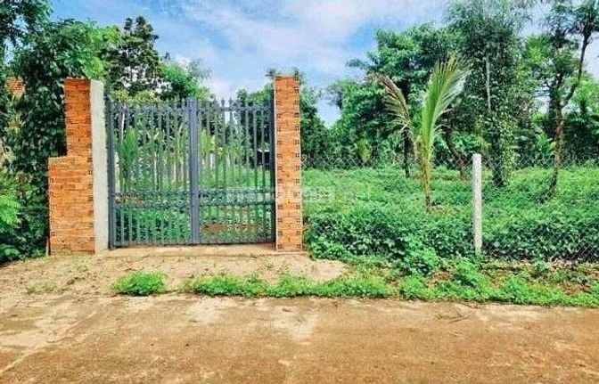 Chính chủ bán vườn 2500m2 có nhà cấp 4 ngay UBND Tân Hiệp - Phú Giáo 