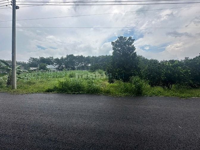 Cần bán gấp vườn mít 2300m2 ngang 60m đất Thành phố Hồ Chí Minh