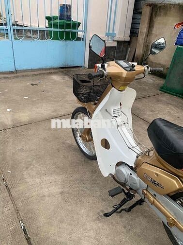 cần bán xe HON DA cub 84/50 cc dành cho học sinh