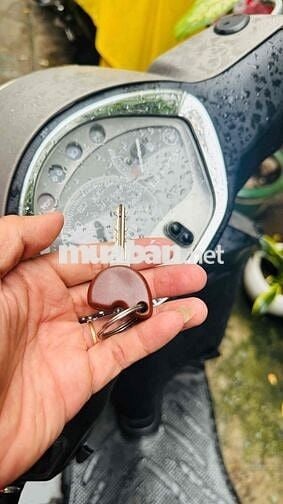 Piaggio Liberty - BSTP - Cavet theo xe đầy đủ
