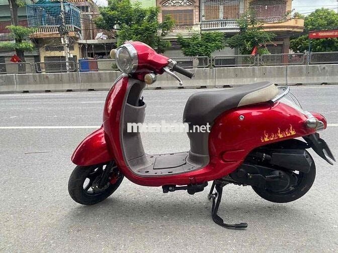 Xe scoopy 50 zin đẹp như hình