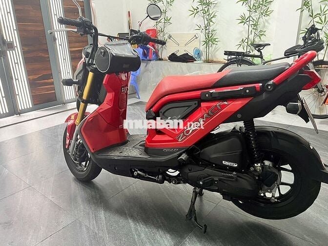 ZOOM X- 2022( đời cuối)