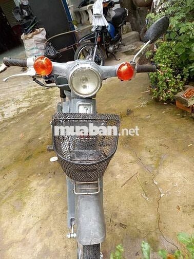 Honda cúp 72 cc