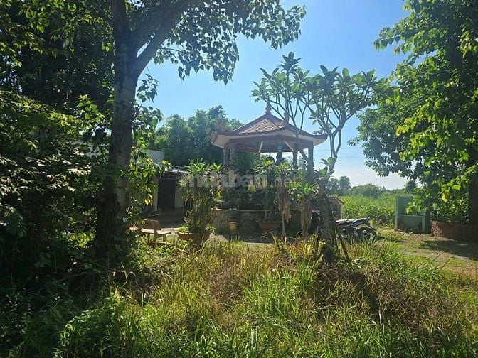 Bán 120mX25m đất phù hợp Người Phật Tử ở, bán 3Tỷ9
