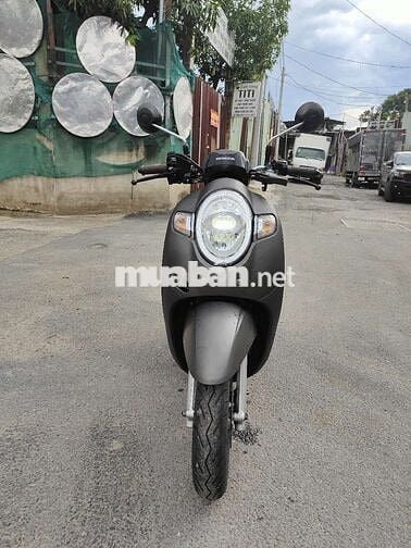 scoopy đẹp keng không trầy xước biển đẹp