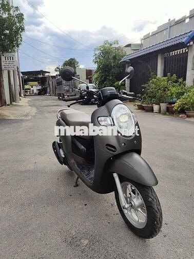 scoopy đẹp keng không trầy xước biển đẹp