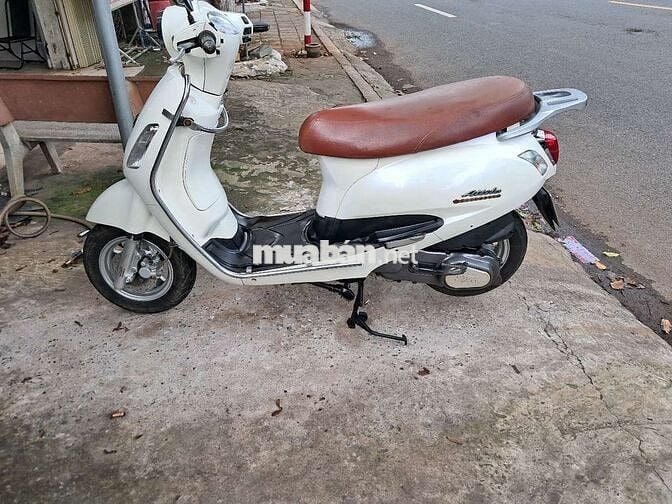 Elizabet trắng..51T8-6576 Giấy đầy đủ